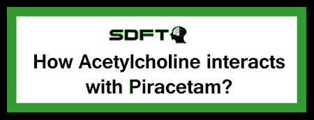Choline Piracetam Stack Acetylcholine